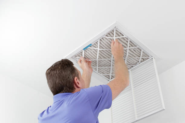 Best Mold and Mildew Removal from Ducts in Murraysville, NC